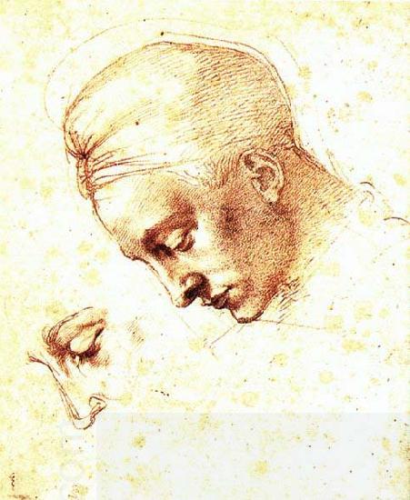 Michelangelo Buonarroti Study of a Head oil painting picture